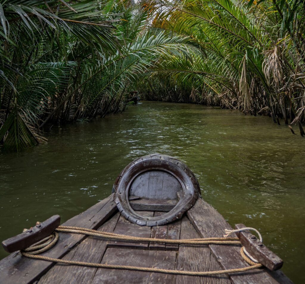 About Mekong